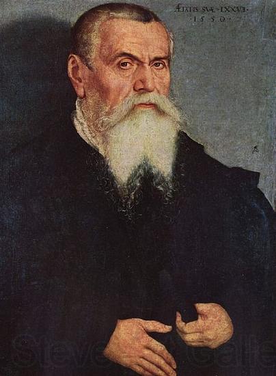 Lucas  Cranach Selbstportrat im 77 Lebensjahr Norge oil painting art